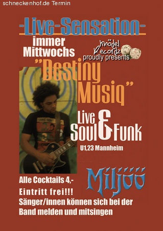 Live Sensation Werbeplakat