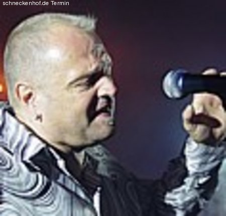 David Hanselmann & Band Werbeplakat