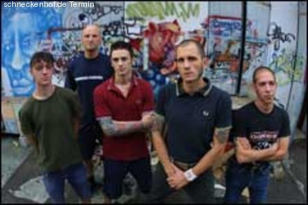 Los Fastidios LIVE Werbeplakat