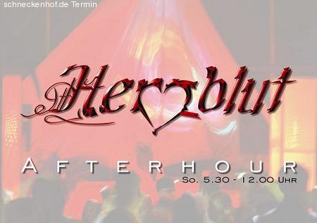 Afterhour Werbeplakat